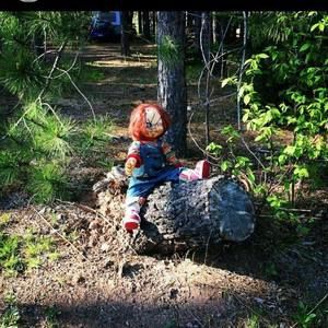 Meet your Posher, Edward